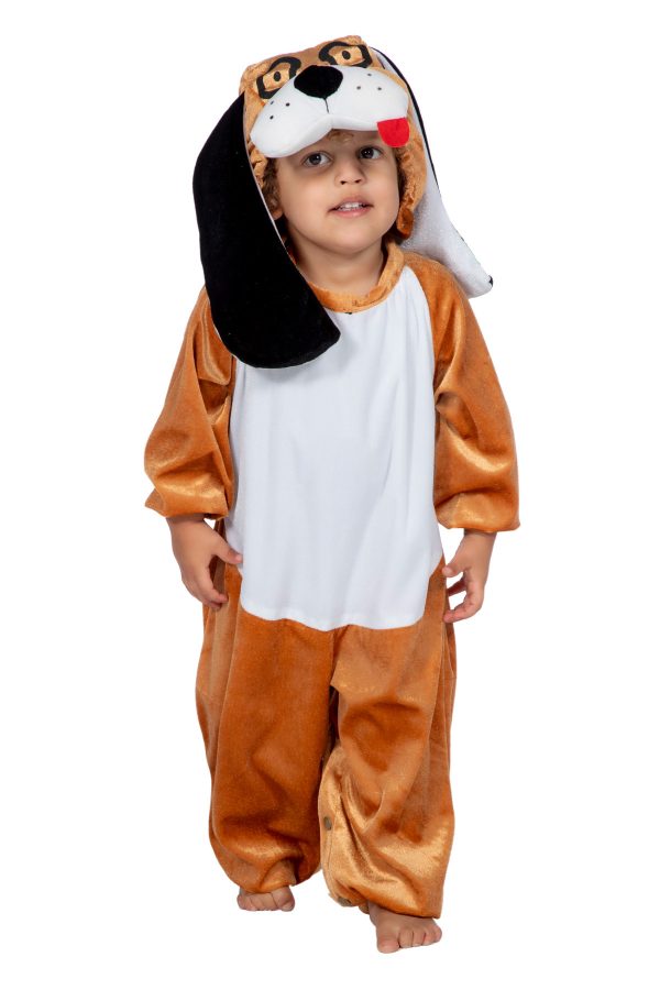 Hondje